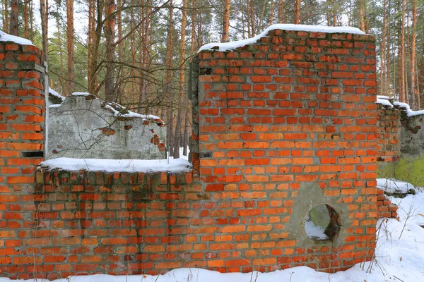 Vanha raunio metsässä — kuvapankkivalokuva