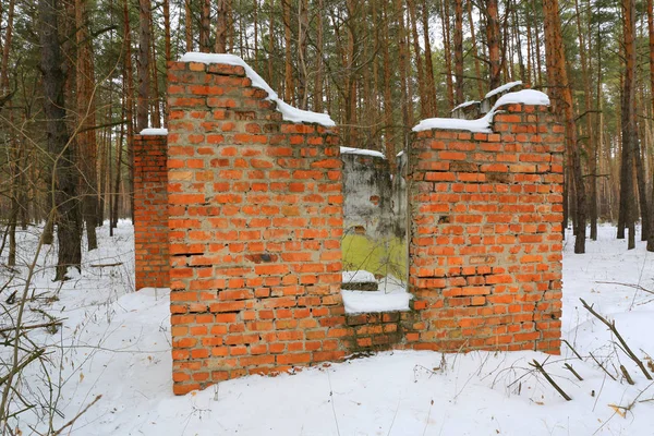 Vanha talo metsässä — kuvapankkivalokuva