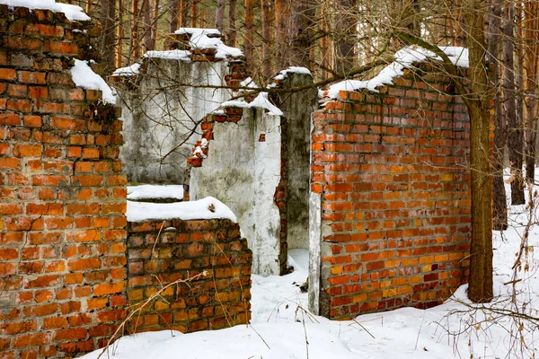 Ruina en bosque de invierno — Foto de Stock