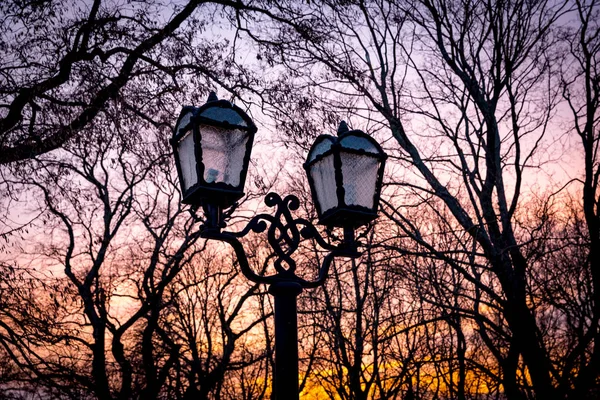 Old style street lamps — Stock Photo, Image