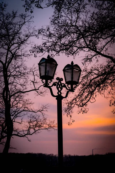 Park sokak feneri. — Stok fotoğraf