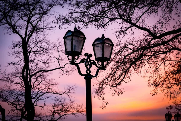 Lanterna stradale in parco — Foto Stock