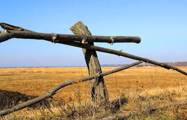 Gard vechi de lemn pe pajiște frontieră — Fotografie, imagine de stoc