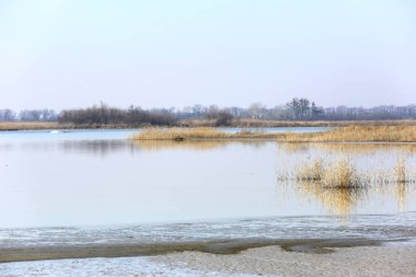 sabah göl kenarında