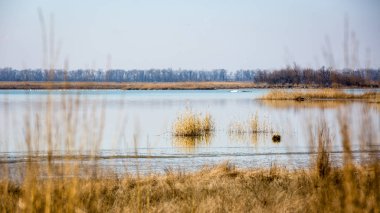 Göl kenarında sabah erken