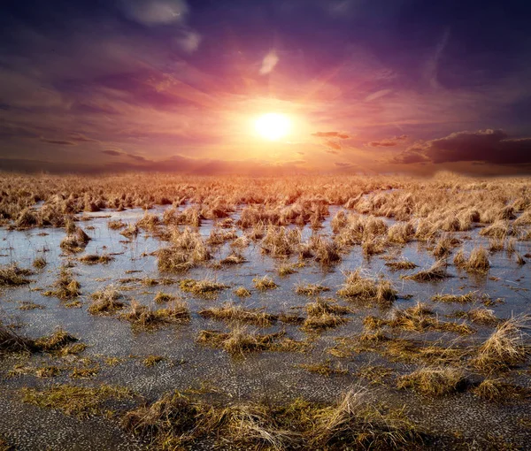 Puesta de sol sobre prado de primavera — Foto de Stock