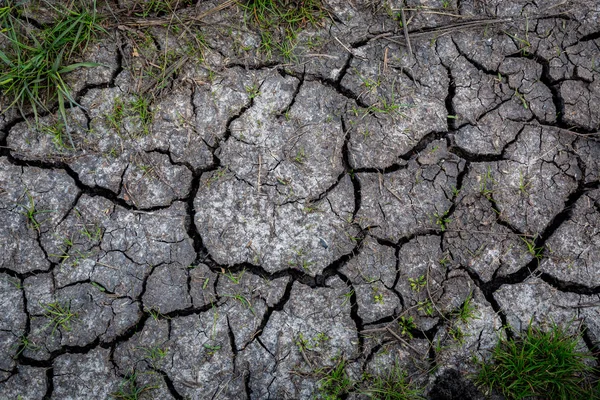 ひびの入った土壌表面 — ストック写真