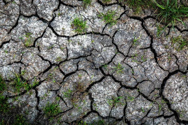 Risse an der Ohroberfläche — Stockfoto