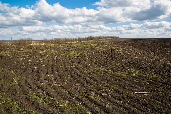 Feld im Frühjahr gepflügt — Stockfoto