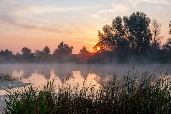 Mattina nebbia sul fiume — Foto Stock