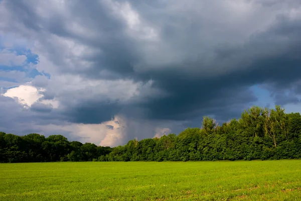 Tempête dans la steppe — Photo