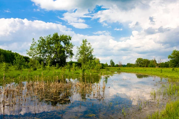 Frühling in der Steppe — Stockfoto