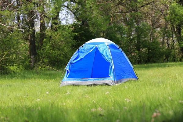 Tenda sul prato nel bosco — Foto Stock