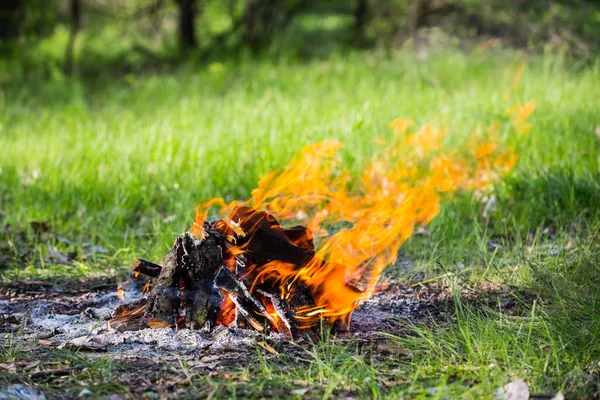 Fire on green meadow — Stock Photo, Image
