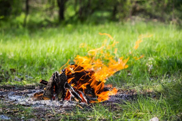 Hot fire on meadow — Stock Photo, Image