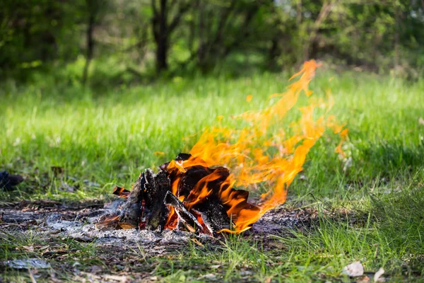 Llama de fuego caliente — Foto de Stock