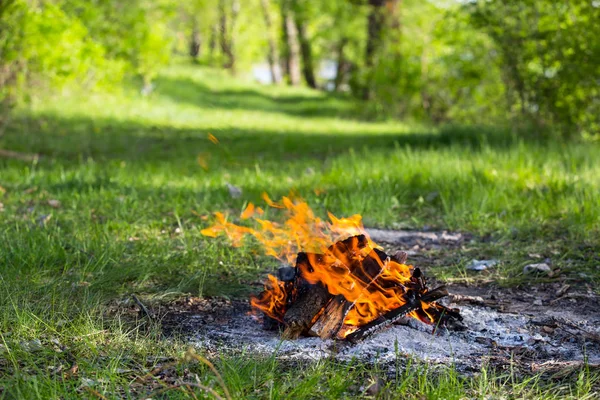 Campfire on green meadow in forest — Stock Photo, Image