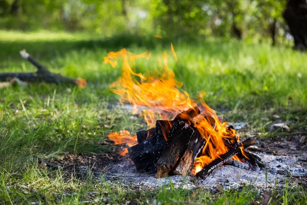 Hot fire on meadow in forest — Stock Photo, Image