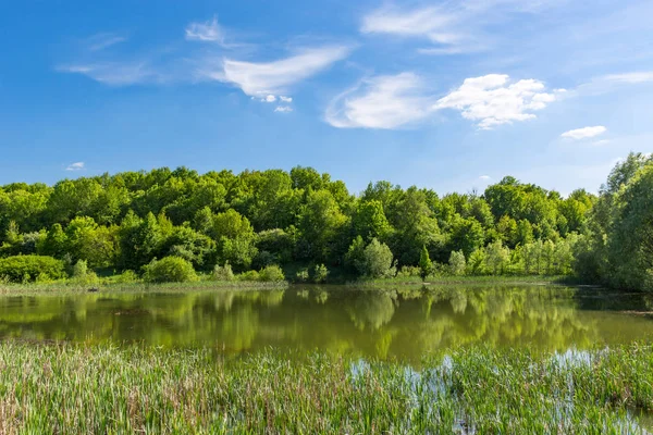 Sjö i skogen — Stockfoto