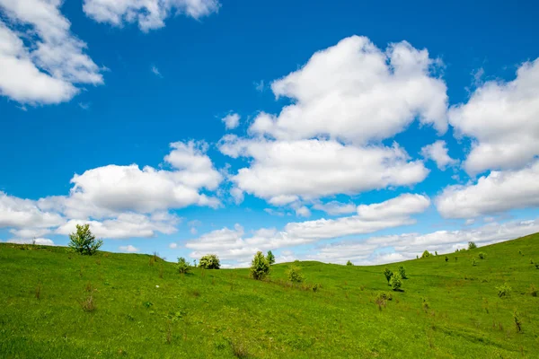 Green glassland and nice sky Royalty Free Stock Images