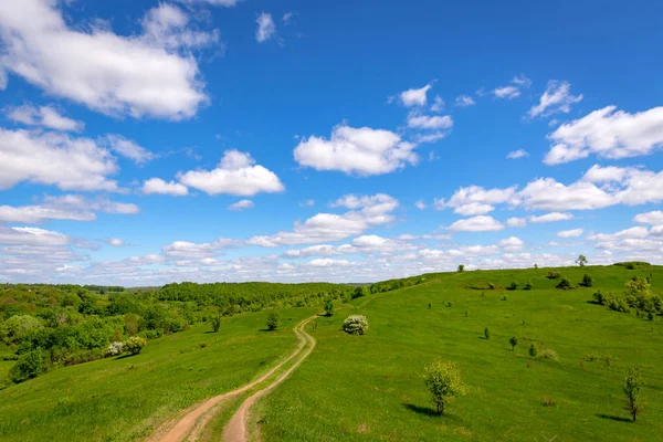 Weg van de sleur op groene heuvel — Stockfoto