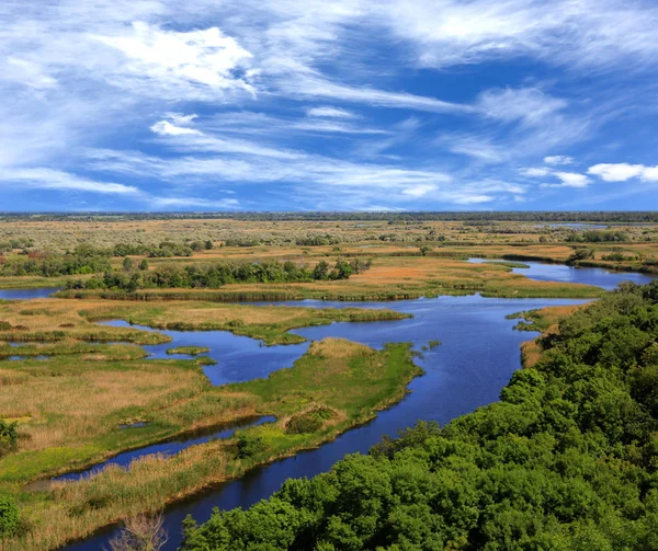 Zomer rivierlandschap — Stockfoto