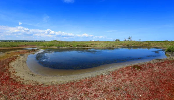 Seashore lake scen — Stockfoto