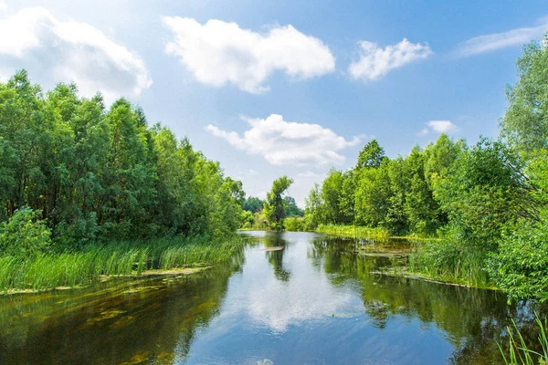 Verão paisagem fluvial — Fotografia de Stock