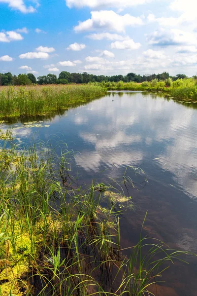 Summer on river — Stock Photo, Image