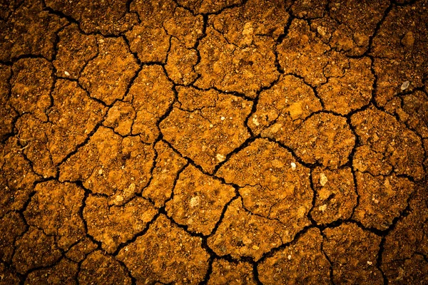 Cracked earth surface — Stock Photo, Image