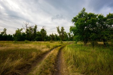 Bozkır içinde kırsal roat