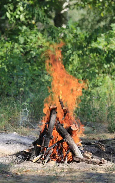 Bosques ardentes de fogo de acampamento — Fotografia de Stock