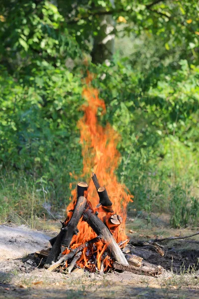草原に熱い火 — ストック写真