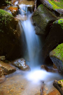 dağ nehir üzerinde küçük şelale