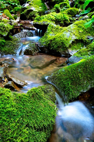 Små vattenfall i gröna stenar — Stockfoto