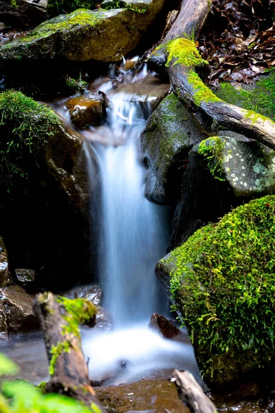 Pequeño arroyo de montaña — Foto de Stock