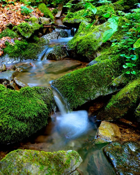 Küçük dağ deresi 