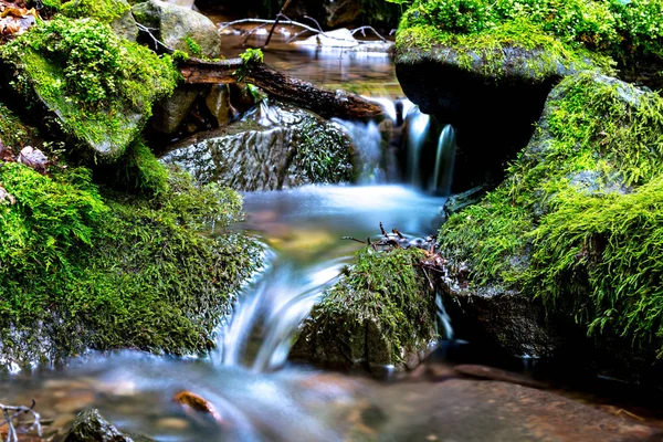 dağ akışında küçük şelale