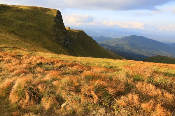 Erba secca sul prato di montagna — Foto Stock