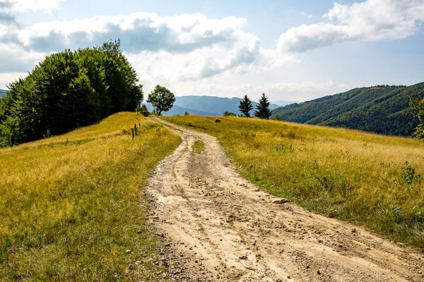 Rut yol Dağları — Stok fotoğraf