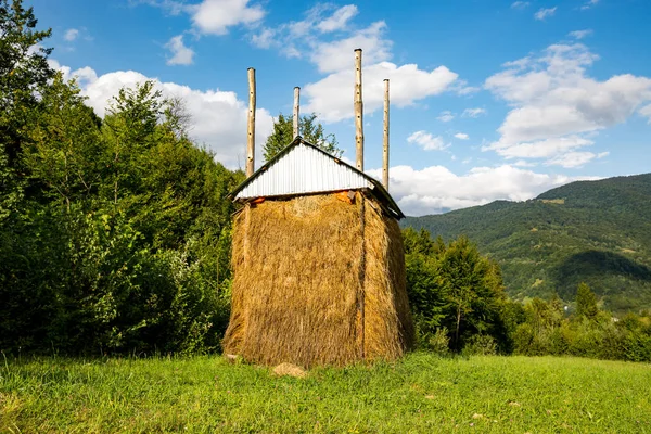 Haystack on a green meadow — Stock Photo, Image