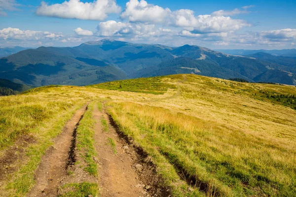 rut yol Karpat Dağları'nda