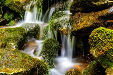 Mountain brook ve yeşil taş