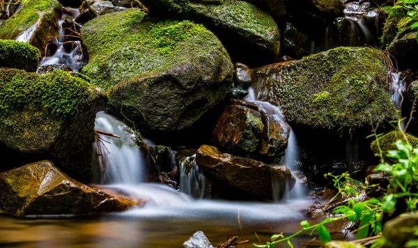 Fjällbäck med gröna stenar — Stockfoto