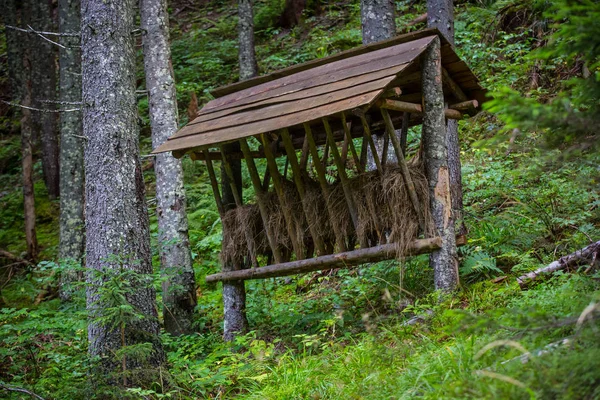 Utfodring tråg med hö — Stockfoto