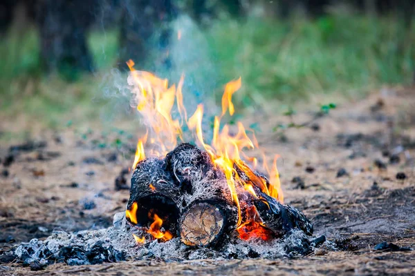 Camp fire on meadow — Stock Photo, Image