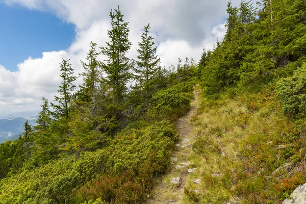 Sentier touristique en montagne — Photo