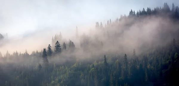 morning in mountains