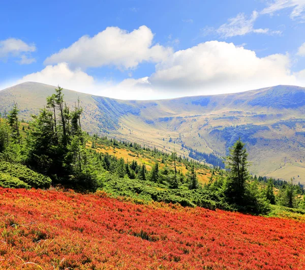 Día de otoño en Cárpatos — Foto de Stock