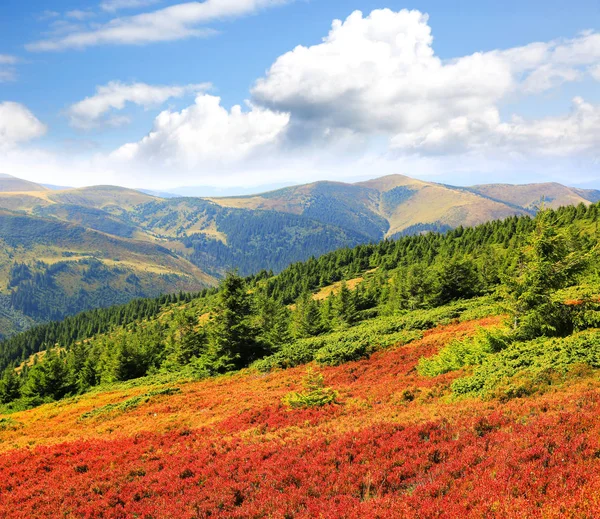 Giorno di autunno in Carpazi — Foto Stock